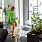 Pet-friendly travel