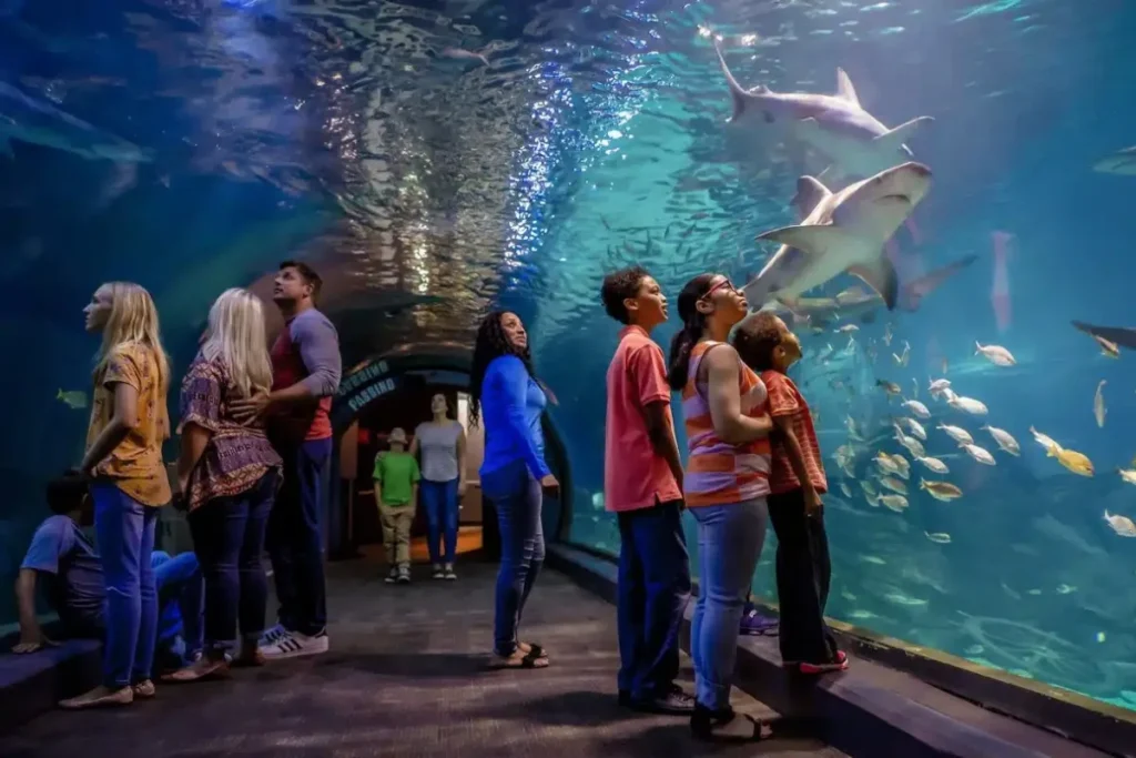 Easy and Fun Family Activities in Philadelphia Family Activities in Philadelphia