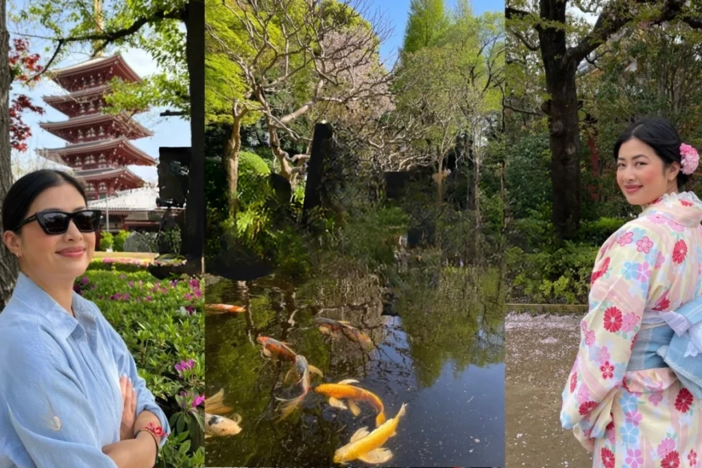 Best Tokyo Solo Travel Tours for First-Time Travelers Tokyo Solo Travel Tours