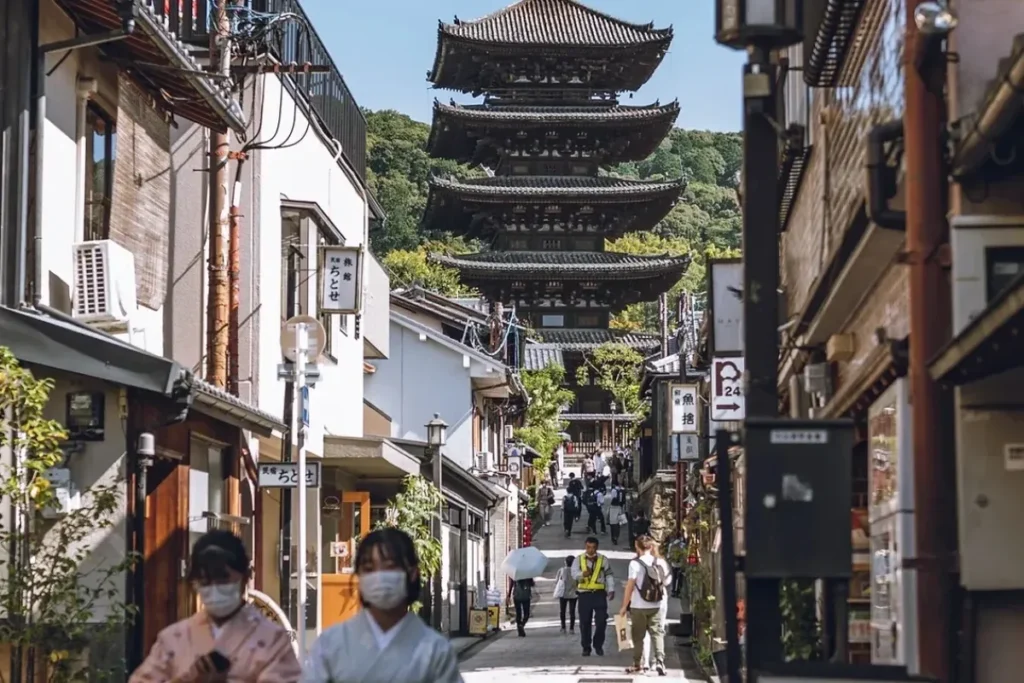 Wildlife Tours to Explore in Costa Rica’s Lush Rainforests Wildlife Tours