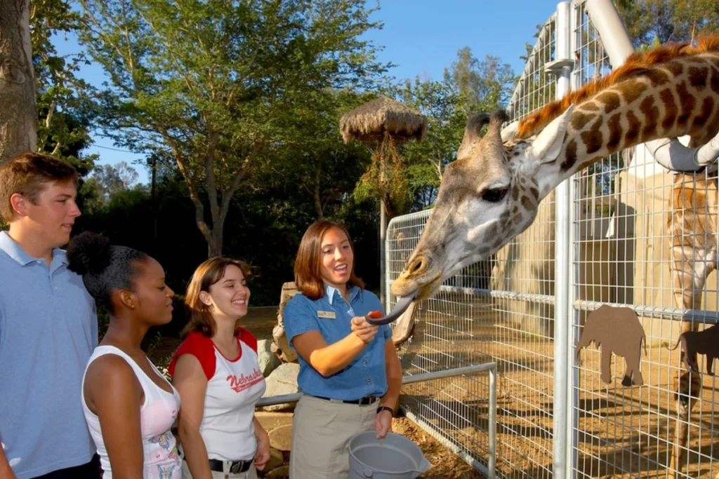 Family Activities in San Diego