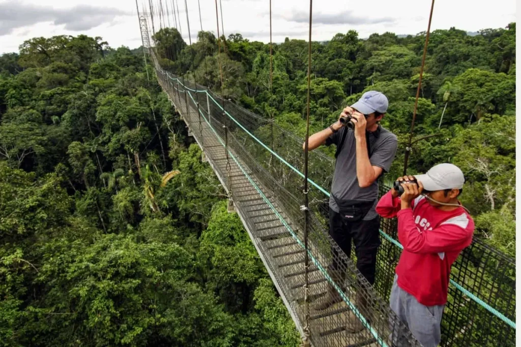 Amazon Rainforest Travel Guide