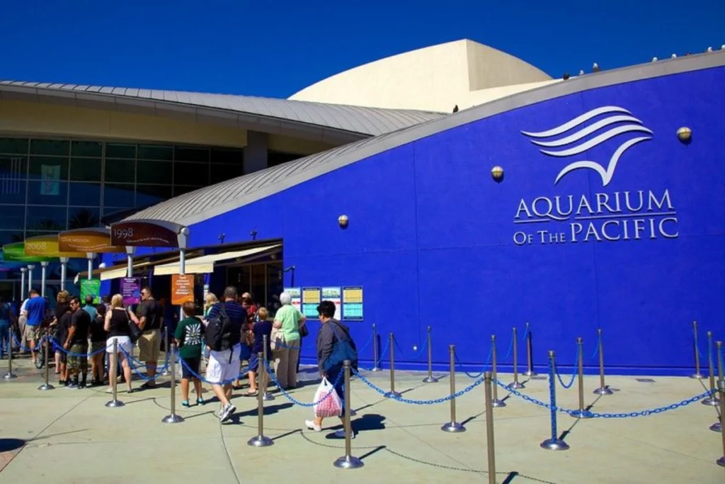Best Exhibits and Experiences at the Aquarium of the Pacific Aquarium of the Pacific
