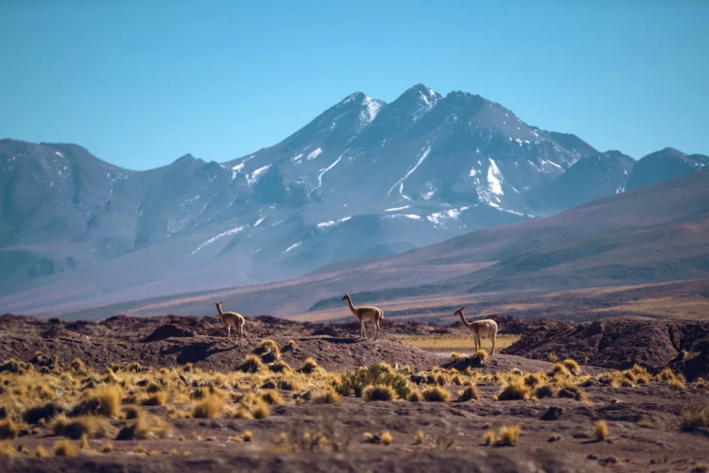 Chile Iconic Landscapes