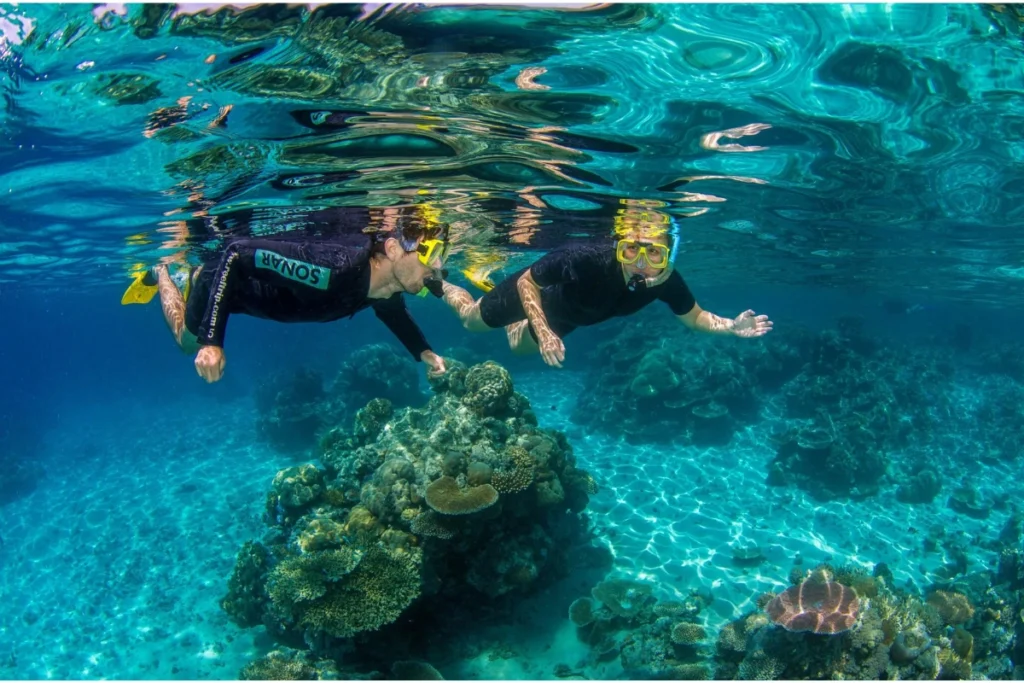 Unforgettable Great Barrier Reef Snorkeling Experiences in Cairns Great Barrier Reef Snorkeling