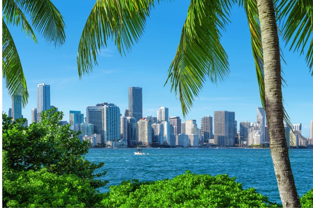 Miami Beaches Attractions