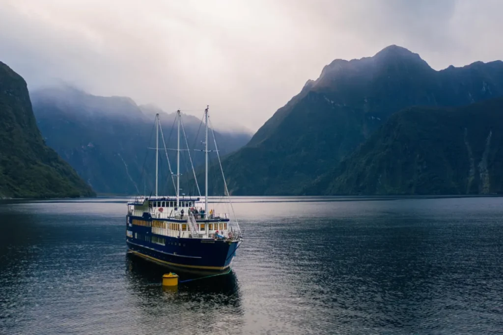 A Complete Guide to Milford Sound Scenic Cruises Milford Sound Cruises
