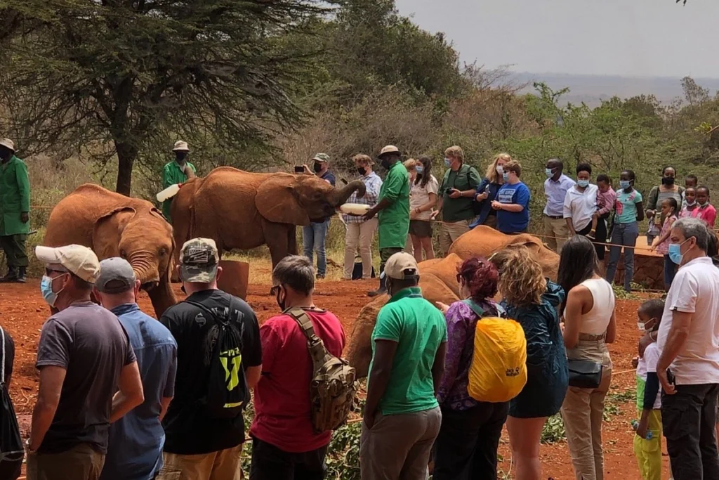 Nairobi Adventure Experiences for First-Time Travelers Nairobi Adventure Experiences