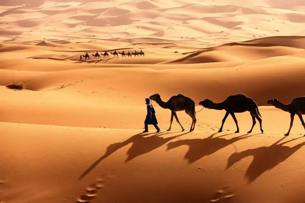 Discover the Beauty of North Africa’s Sahara Desert Sahara Desert in North Africa