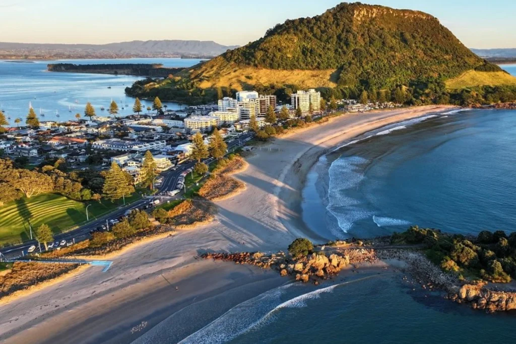 Explore Tauranga Stress-Free with Transport and Snacks Tauranga Tour